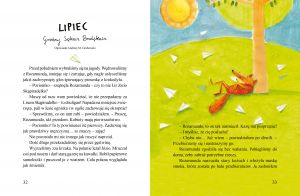 autorka-ilustracji-jest-iwona-cala