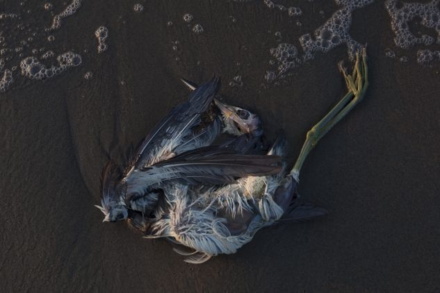 Nature Outdoor Water