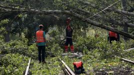 Ruch kolejowy przywrócony po nawałnicy, która powaliła na tory kilkadziesiąt drzew