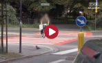 wideo