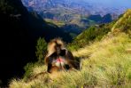 Góry Semien w północnej Etiopii są doskonałym miejscem na wyprawę dla poszukiwaczy niezapomnianych wrażeń. (fot. www.shutterstock.com)