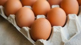 Holandia wybija kury. Niemcy wycofują zatrute jajka ze sklepów