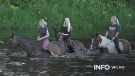 Stara litewska tradycja – nocny wypas koni