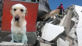Ekwador opłakuje psa bohatera