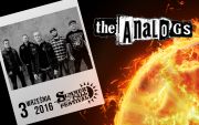 The Analogs na Summer Fall Festival
