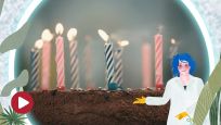 Różowy Słoń Odkrywa Świat: Dlaczego świętujemy urodziny? #22