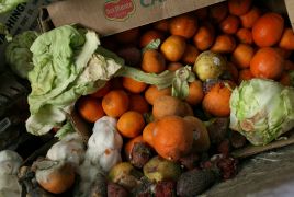Światowy problem marnowania żywności według ONZ: Alarmujące dane, fot. Getty Images/Justin Sullivan
