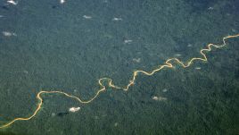 Czy gęste lasy Amazonii sprzyjały budowie osad? Fot. Getty Images 