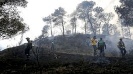 Ogień trawi katalońskie lasy. Władze zarządziły wielką ewakuację