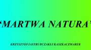 instalacja-martwa-natura-821102012