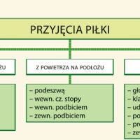 (fot. magazyn
