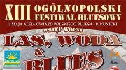 xiii-ogolnopolski-festiwal-bluesowy-las-woda-blues