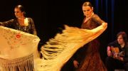 vii-miedzynarodowy-festiwal-flamenco-duende-poznan-2012