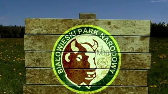 bialowieski-park-narodowy