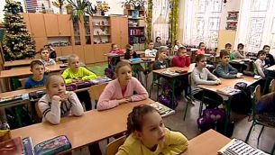 Sosenka na Podkarpaciu