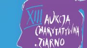 xiii-aukcja-charytatywna-ziarno-sztuki-ogrod-nadziei