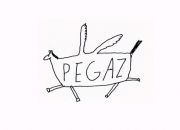 pegaz