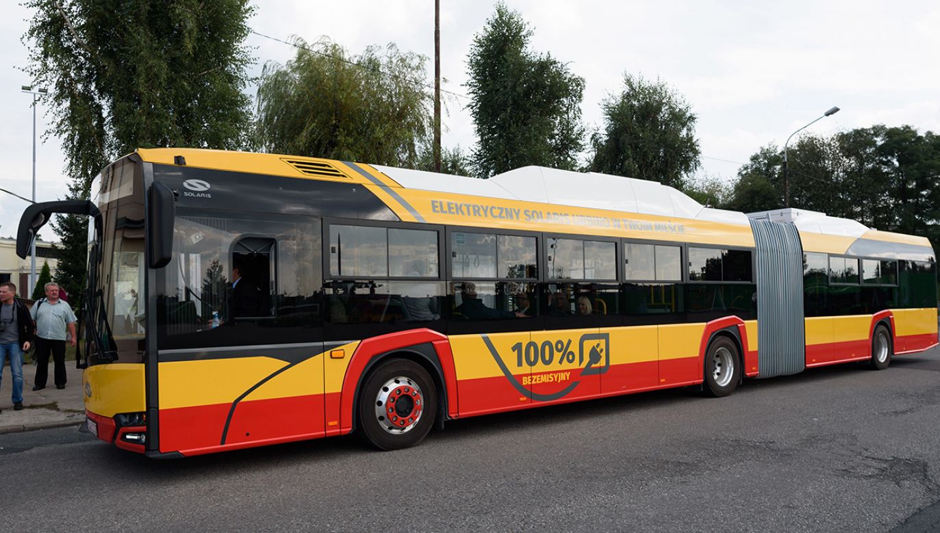 (fot. arch.PAP/Jakub Kaczmarczyk)