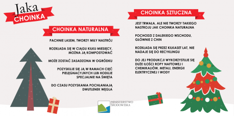 Święta w zgodzie z naturą