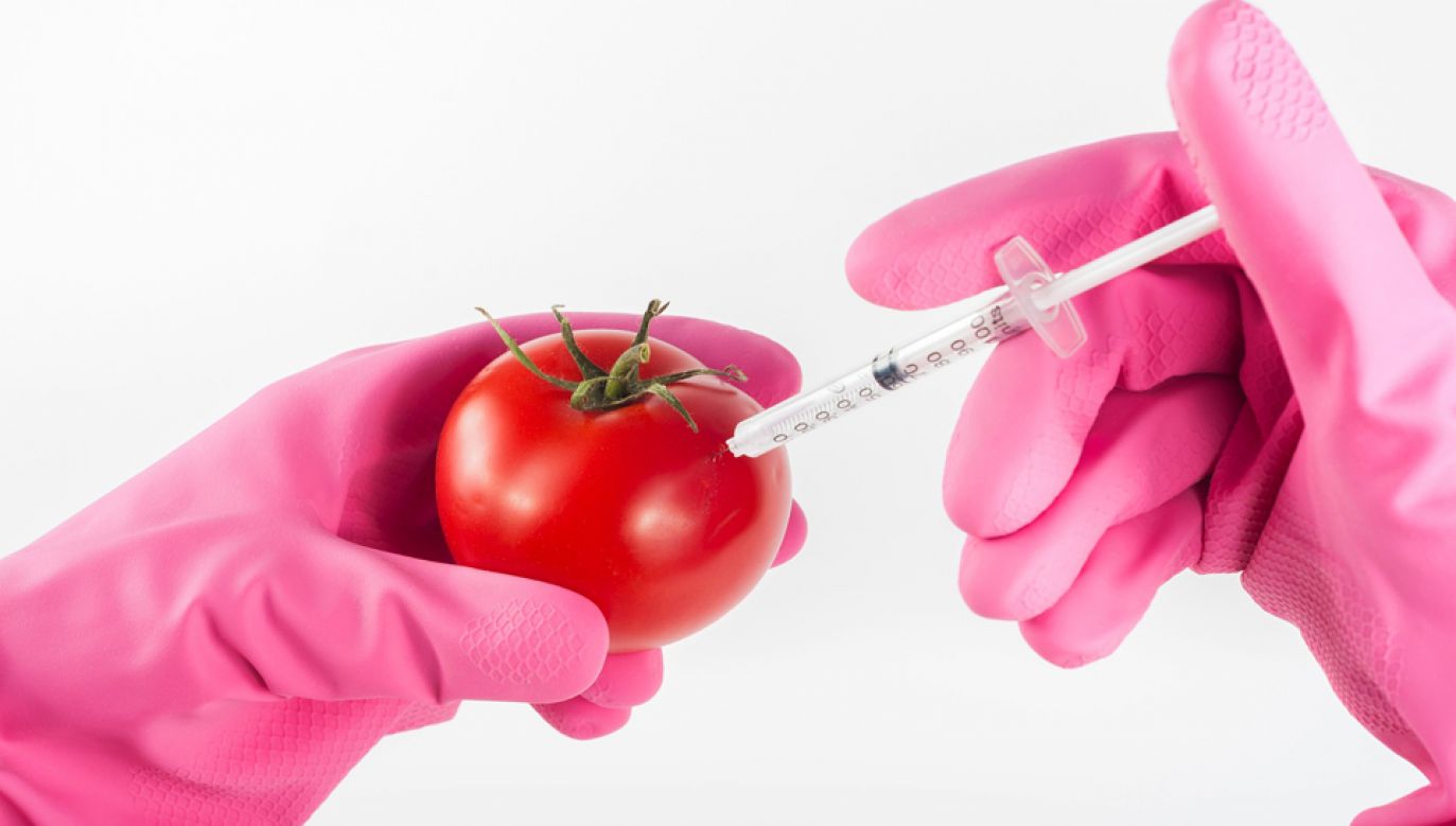 Projekt ustawy o GMO trafi pod głosowanie w Sejmie  (fot. pixabay.com/artursfoto)