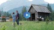 Film „Miłość jak miód” to doskonała propozycja dla każdego, kto wierzy w siłę przyjaźni, drugie szanse i nigdy nie rezygnuje z marzeń o miłości. Fot. TVP