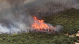 The 66-year-old man is accused of deliberately setting fire to a forest in southeastern Greece. Illustrative photo via Ayhan Mehmet/Anadolu Agency/Getty Images.