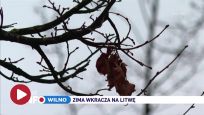 Najważniejsze wydarzenia: 17.11.2022