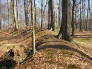 Slightly to the side, on the most rocky part of the hill, lay a heavily fortified stronghold. Photo via janow.pl 