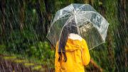 W nocy z piątku na sobotę przewidywane są intensywne opady deszczu na terenie całego kraju. Fot. mark gusev/ Shutterstock