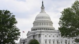 The Senate committee published a statement on its website. Photo by Celal Gunes via Getty Images.