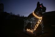 On moonlit nights, this spectral beast is said to haunt the castle ruins  Łukasz Gągulski via PAP 