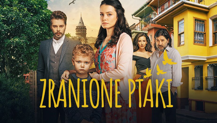 Zranione ptaki serial telewizyjny, Oglądaj na TVP VOD