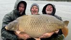 Pole catches one of the largest common carp specimen on record