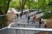 Snaking metal walkways twist and turn above gullies and forest down below. Photo: PAP/Andrzej Lange 