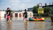 Beyond the financial and human cost, animals too have fallen victim to the floods. Photo: Attila Husejnow/SOPA Images/LightRocket via Getty Images 