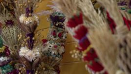 Konkurs na najpiękniejszą palmę