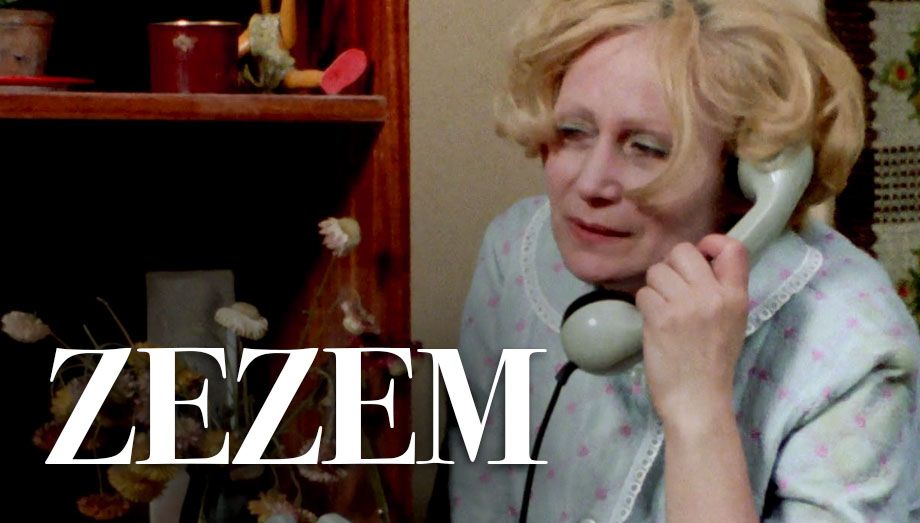 PL - ZEZEM