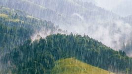 W najbliższym tygodniu (1-7 lipca) czeka nas pogoda w kratkę. Fot. Stone36/ Shutterstock