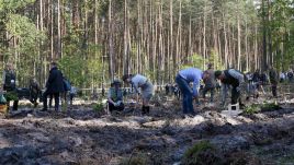 Prezydent Andrzej Duda (P) podczas ubiegłorocznej akcji sadzenia drzew #sadziMY (fot. arch. PAP/Grzegorz Michałowski)