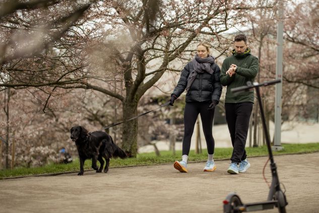 Kwitnienie wiśni w Wilnie [fotogaleria], fot. Karina Mieczkowska