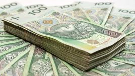 Łączna wartość Tarczy inflacyjnej wynosi 10 mld zł (fot. Shutterstock/Patryk Kosmider)