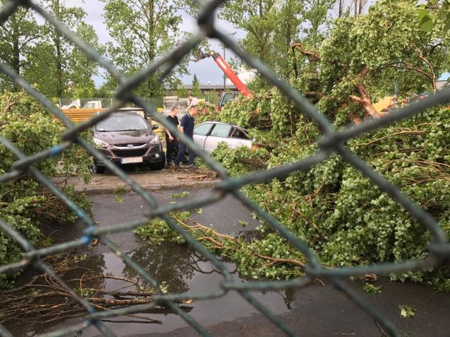 Złamane drzewo przygniotło samochód przy ul. Towarowej w Bydgoszczy (fot. Karol Stefański)