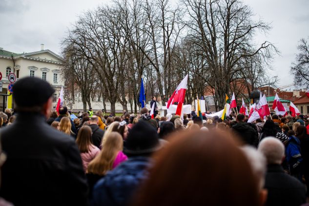 Przemarsz i wiec w obronie szkół mniejszości narodowych w Wilnie [fotogaleria], fot. TVP Wilno/Bartek Urbanowicz