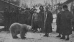 The un-bear-lievable story of the polar bear that served in Poland’s army