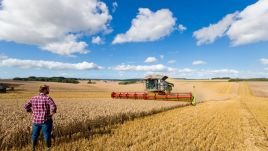 - Niestety, ale dzisiaj widzimy, że polskie rolnictwo jest w zapaści - ocenił Motyka (fot. Shutterstock/Juice Flair)