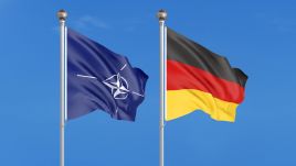 Europosel odniósł się do stanowiska m.in. kanclerza RFN i niemieckiej minister spraw zagranicznych, którzy odrzucają dostawy broni na Ukrainę (fot. Shutterstock/J_UK)