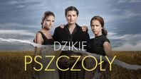 Dzikie pszczoły
