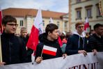 Przemarsz i wiec w obronie szkół mniejszości narodowych w Wilnie [fotogaleria], fot. TVP Wilno/Bartek Urbanowicz