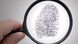 Fingerprints are still a key factor in criminal investigations. Photo: Christian Ohde/McPhoto/ullstein bild via Getty Images