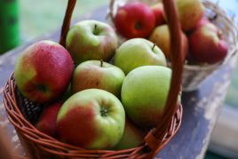 The fruits will be provided to participants at meetings and gatherings linked to the six-month presidency. Illustrative photo by Jakub Porzycki/NurPhoto via Getty Images